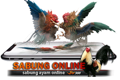 Bandar Online Judi Ayam Sabung sv388 Terbesar dan Teraman LIVE |
Palangkaraya