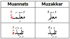 ghoorib.com|Cara Membedakan Antara Mudzakkar dan Muannats Dalam Bahasa Arab