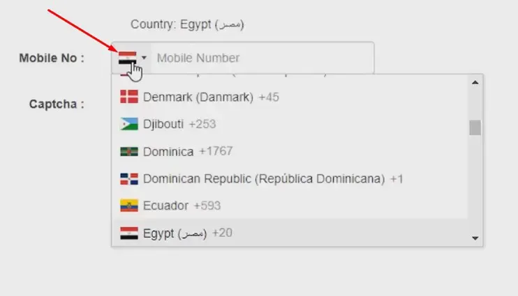 موقع معرفة هوية المتصل عن طريق الرقم بدون برنامج