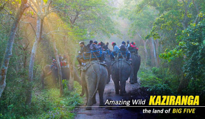 Elephant Safari Tour Package-Kaziranga