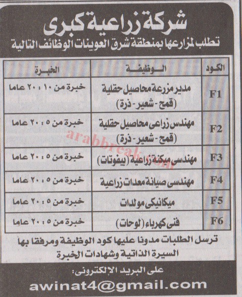 اهم وافضل الوظائف اهرام الجمعة وظائف خلية وظائف شاغرة على عرب بريك