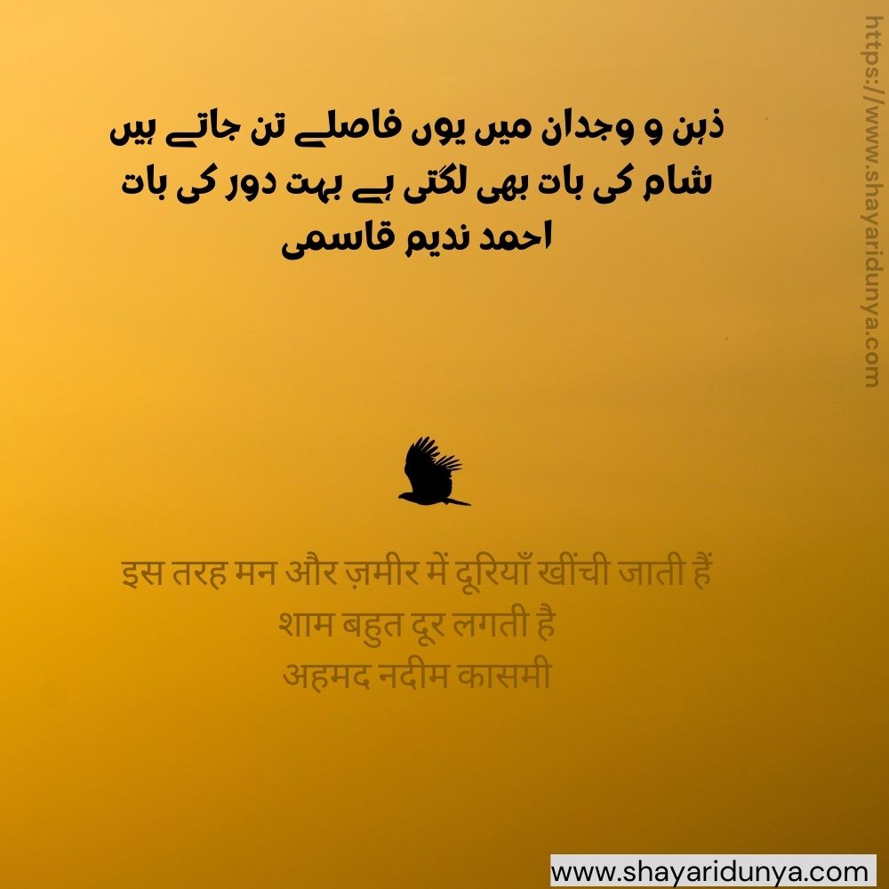 Poetry on Sham | sham poetry | Shaam Shayari | Udas sham | Poetry on evening