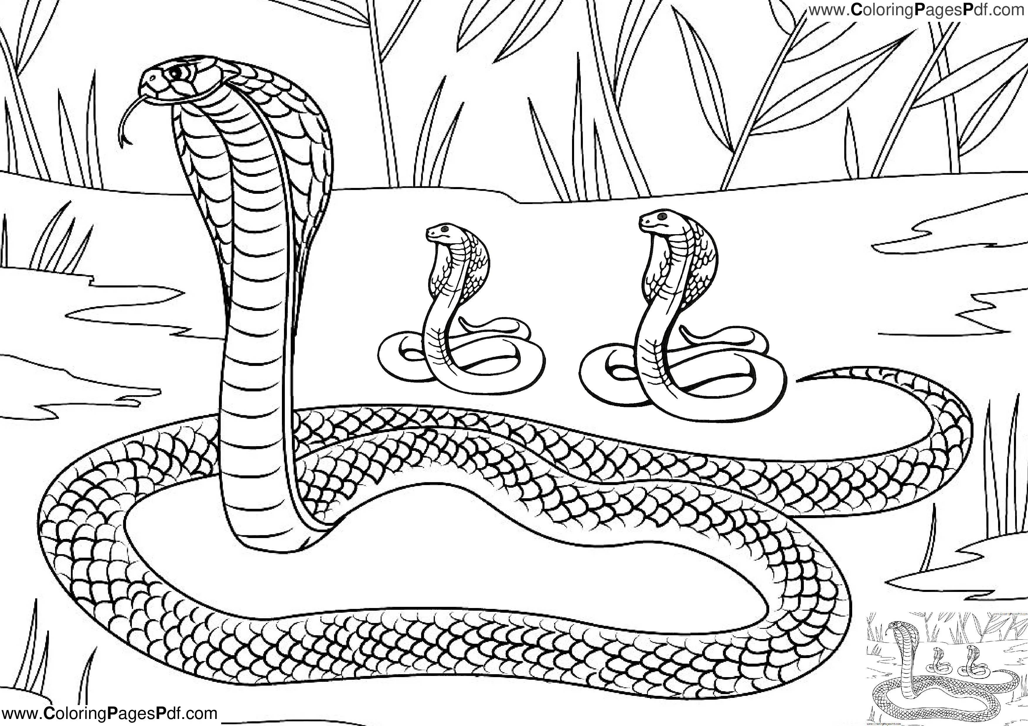 Best snake coloring pages