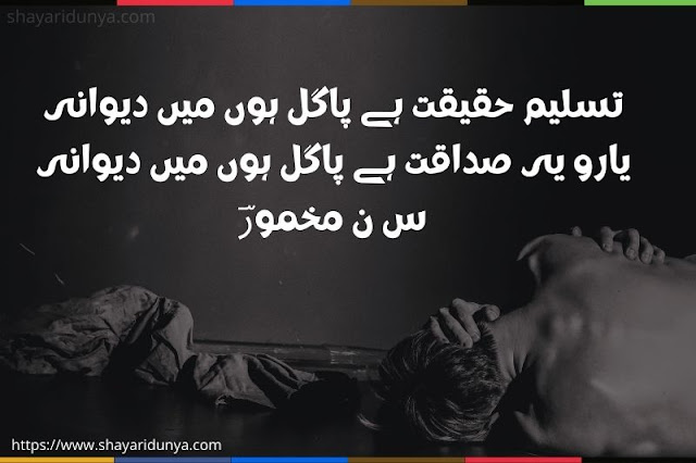 Pagal shayari | Pagal Poetry | Pagal shayari 2 line | Pagal shayari image