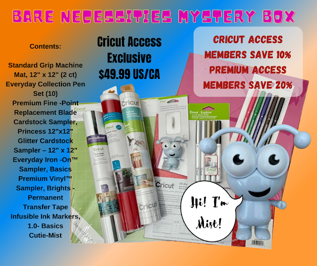 Premium Mystery Box for Kids – The Care Crate Co.