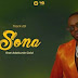 AUDIO: Diamond Platnumz Ft. Adekunle Gold – Sona