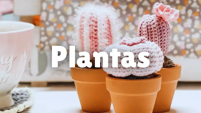 Plantas que no mueren - Cactus y Helechos a Crochet 🌵