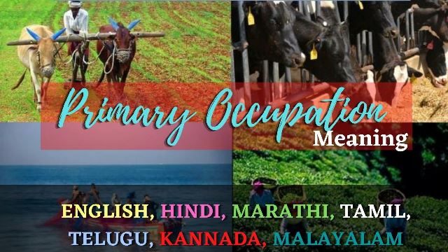 Primary Occupation Meaning In Hindi, Marathi, Telugu, Tamil, Bengali, Malayalam, Kannada.