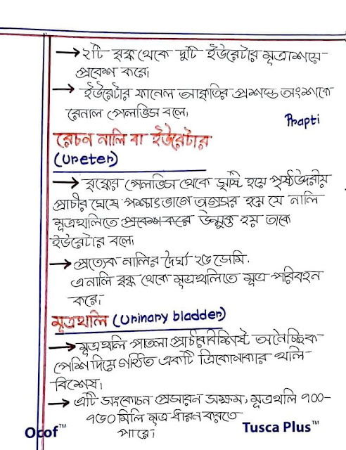 SSC Biology Chapter 8 Hand Note