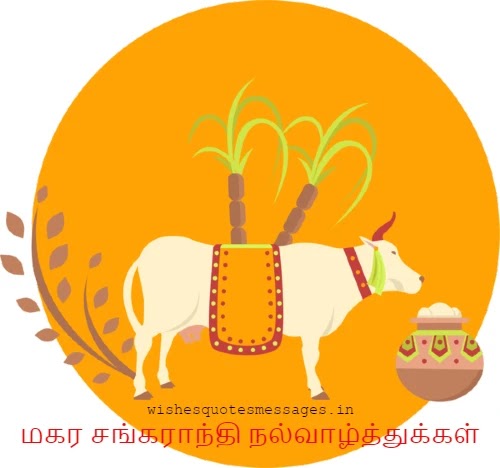 makar sankranti images in tamil