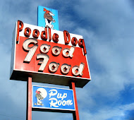 Poodle Dog in Tacoma
