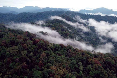 Hutan-Hujan-Tropis-Sumatera:-Warisan-Alam-Dunia-(2004)