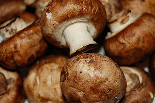 Shittake mushroom supplier in Latur 1