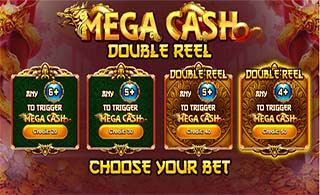 mega cash double reel