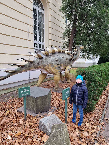 Muzeum minerałów