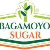 Job vacancies at Bagamoyo Sugar Limited, May 2024