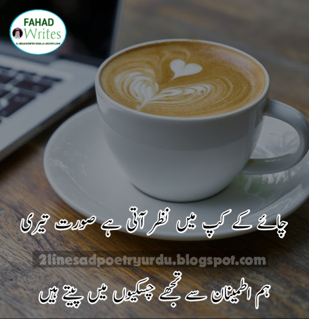 Best 2 Line Urdu Poetry by Famous Urdu Poets