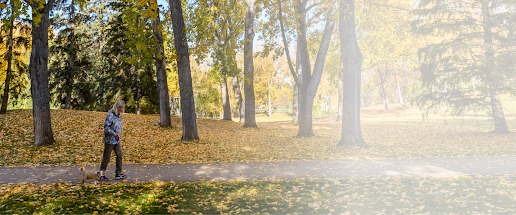 Ward 5 Green Spaces and Parks - Raj Dhaliwal