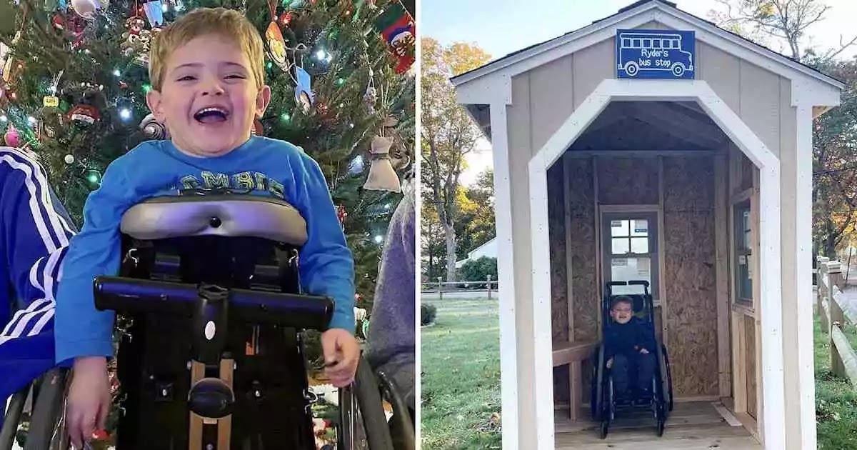 Teens Build Bus Stop Shelter For Disabled 5-Year-Old To Protect Him From The Bad Weather