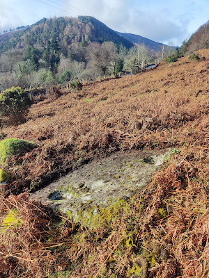 Bullaun Stone, Glendalough