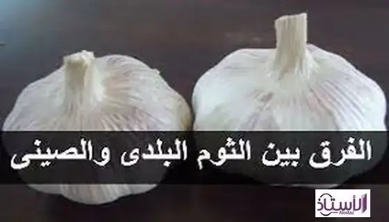 The-difference-between-local-garlic-and-Chinese-garlic