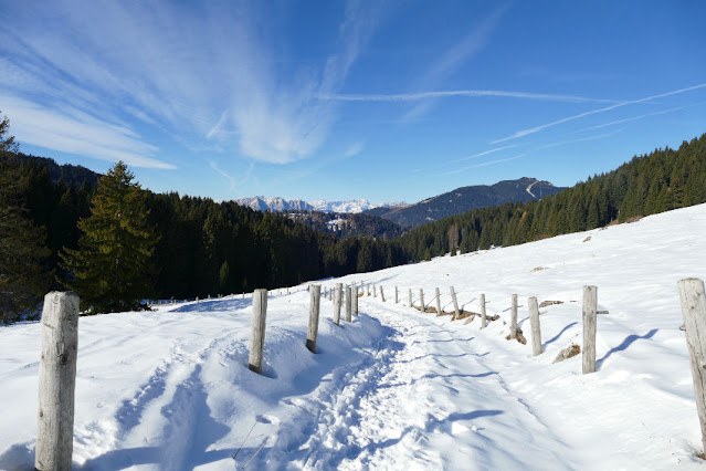 escursione neve inverno ciaspole vallorsara