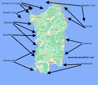 where to catch fish in Sardinia