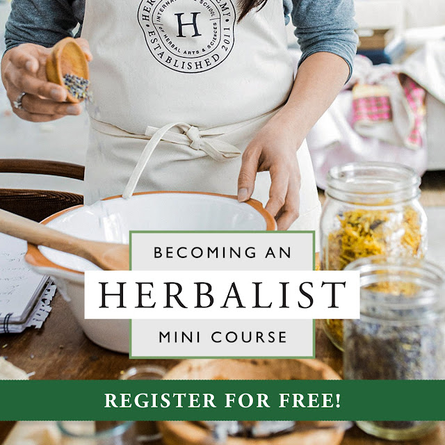 Free Herbalist Mini Course - Ends March 3rd