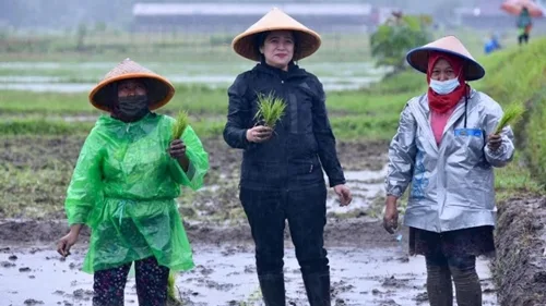 Kolaborasi Antara Petani Milenial dan Teknologi Mampu Mensejahterakan Petani