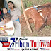 Kambing Diracun, Rondo Tua dan Dua Anak Kecil di Arjasa Menjerit Minta Keadilan