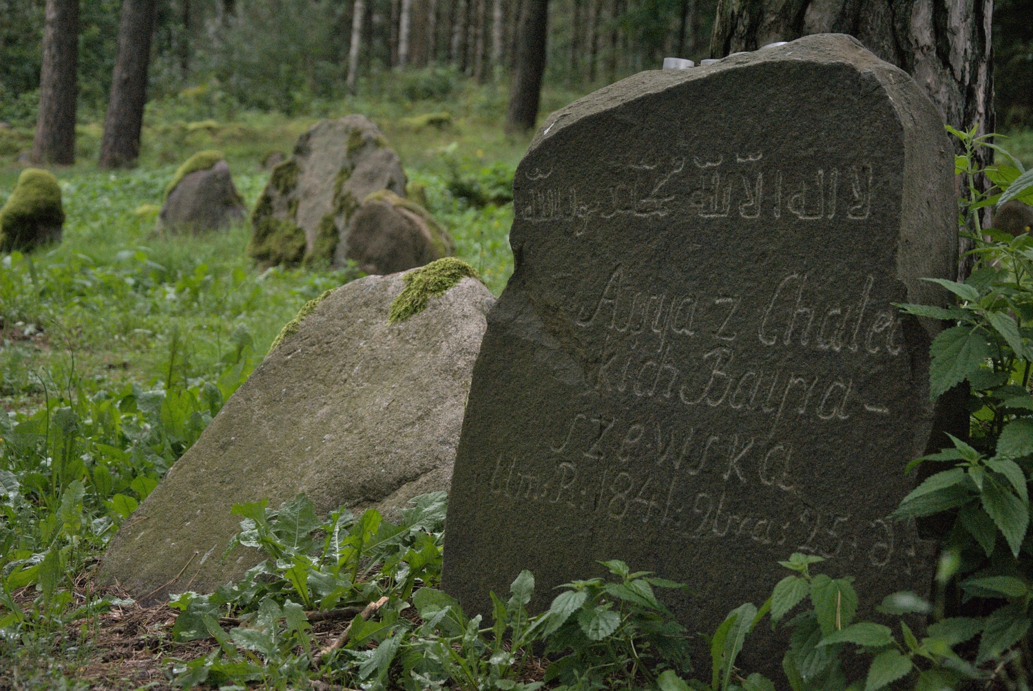Kruszyniany