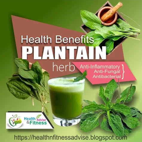 Health-info-Plantain-health-benefits-healthnfitnessadvise-com