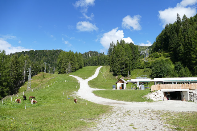 giro delle malghe forni di sopra