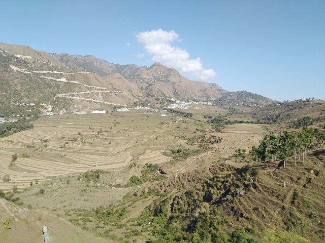 Kamakhya Devi Temple - Pithoragarh- Terrace Farming View