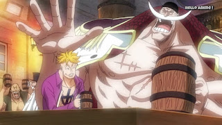 One Piece 第0話 マルコ 白ひげの形見の守護者 ネタバレ