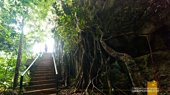 Callao Cave in Penablanca Cagayan