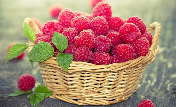 Raspberry Leaf: Medicinal Properties, Contraindications, Benefits | Raspberry Leaves Tea