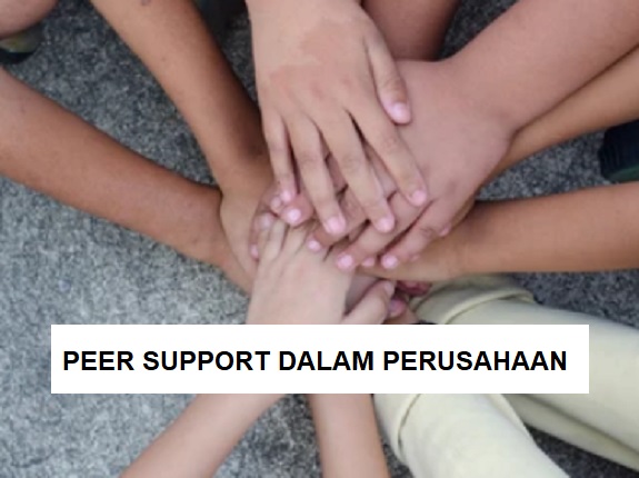 Peer Support