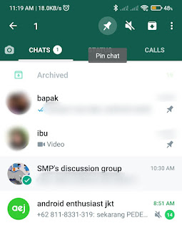 Pin Chat WhatsApp