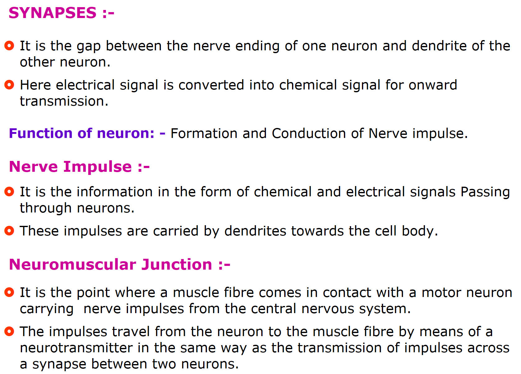 synapsis