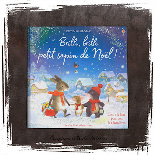 Brille, Brille petit sapin de Noel, un livre pour enfant sur la magie de Noël et l'entraide, l'amitié, de Sam Taplin et Alison Friend Editions Usborne