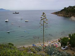 Cannelle beach on Isola del Giglio, a popular tourist destination