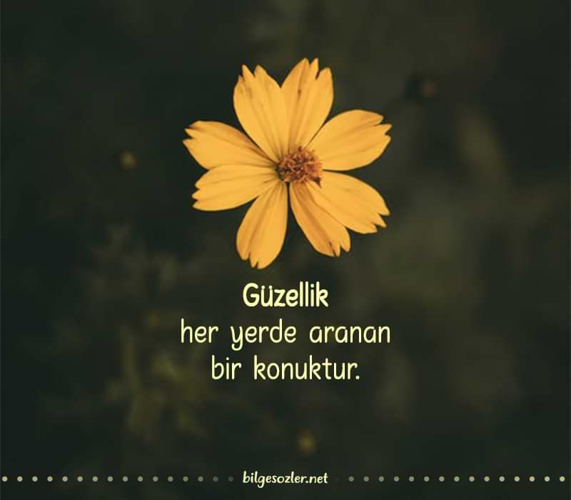 Anlamlı ve Güzel 20 özlü söz