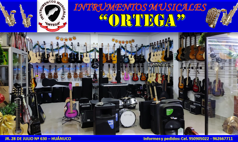 Instrumentos Musicales ORTEGA