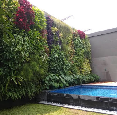 garden style - vertical garden