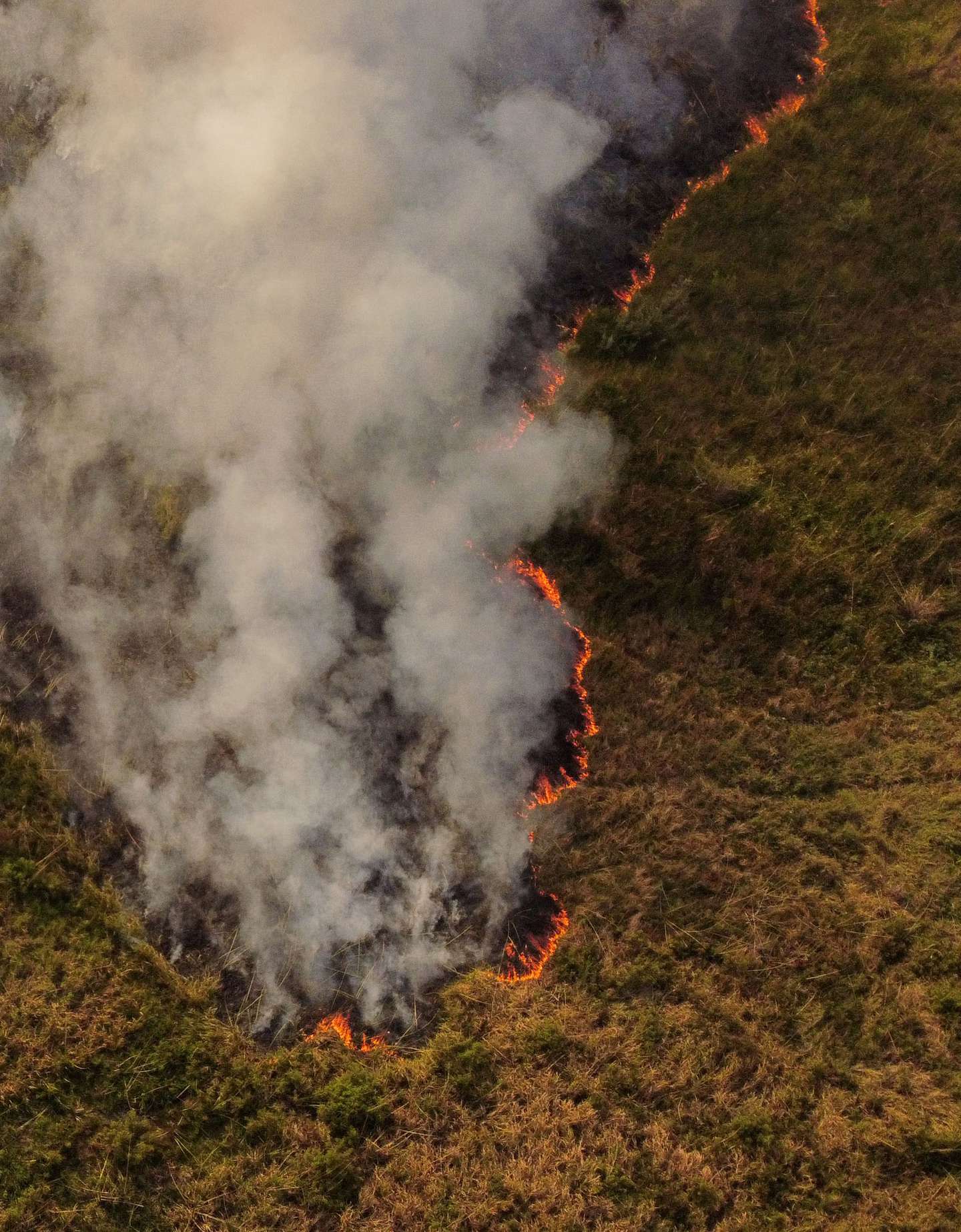 Por los incendios en Corrientes, Gustavo Valdés declaró "zona de catástrofe": “Solo la naturaleza podrá apagar el fuego”