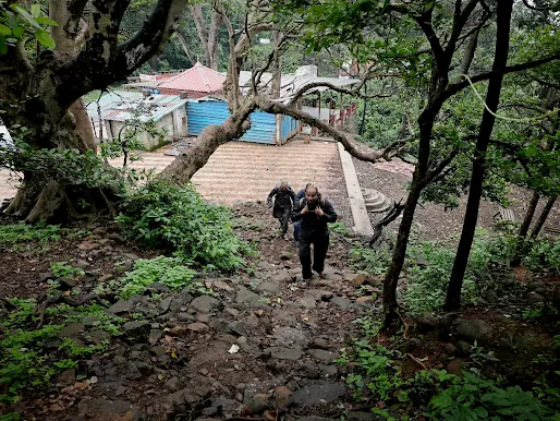 वाघोबा मंदिराकडून जाणारी वाट