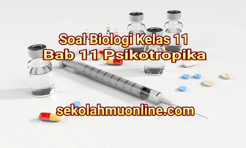 Soal Pilihan Ganda Biologi Kelas 11 Bab 11 Psikotropika lengkap dengan kunci jawaban dan pembahasannya