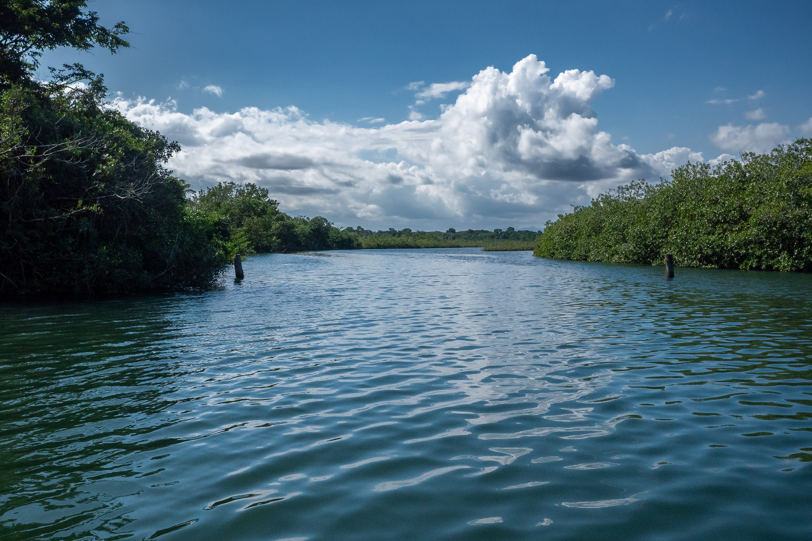 Día 7: Placencia - Belice: Nación Garífuna (1)