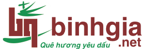 BinhgiaBlogger